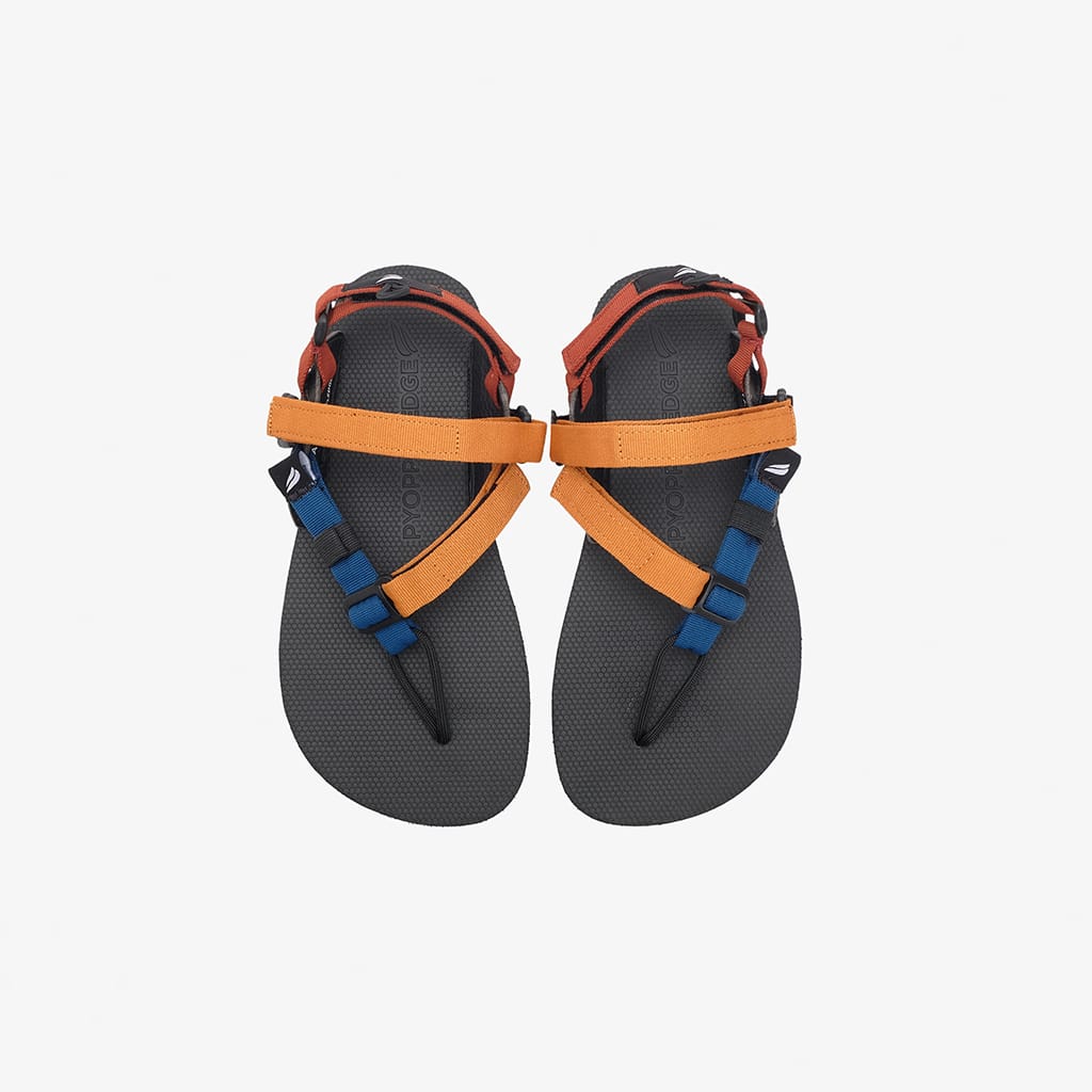 Pyopp Fledge - Jejak All Terrains - Golden Horizon